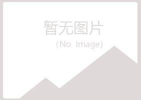 鹤岗南山从灵金融有限公司